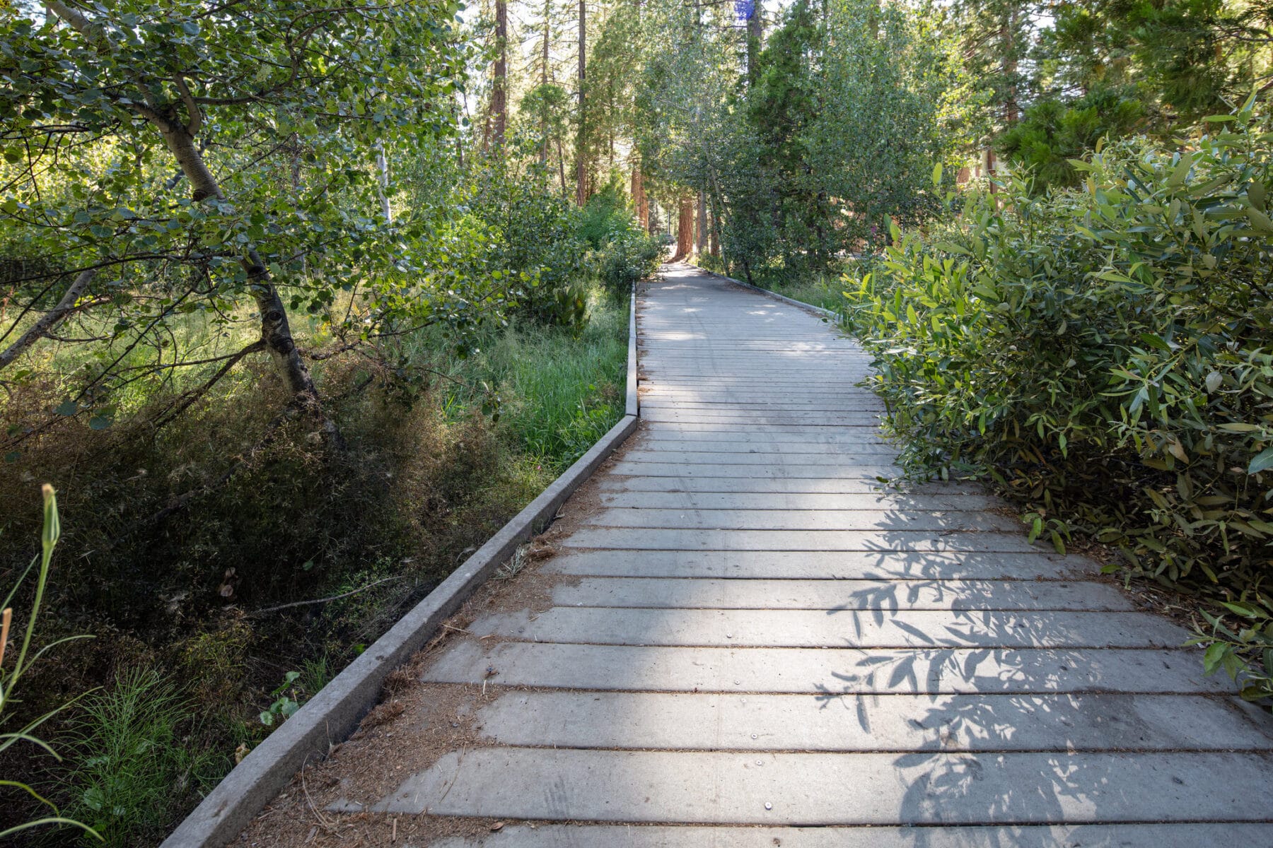 Walkway